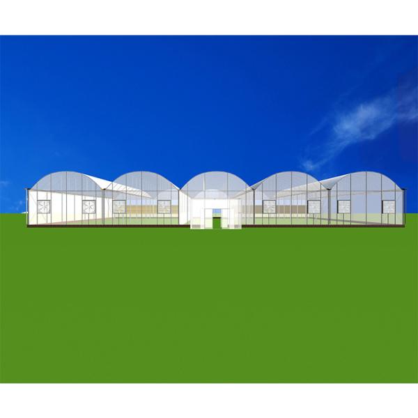 Solar Gray Polycarbonate Sheet Greenhouse For Aquaponics Farming System