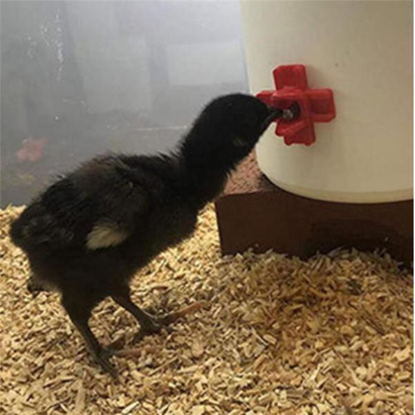Ниппелей птицы Cnc цыпленок Waterer держателя автоматических горизонтальных непромокаемый горизонтальный бортовой
