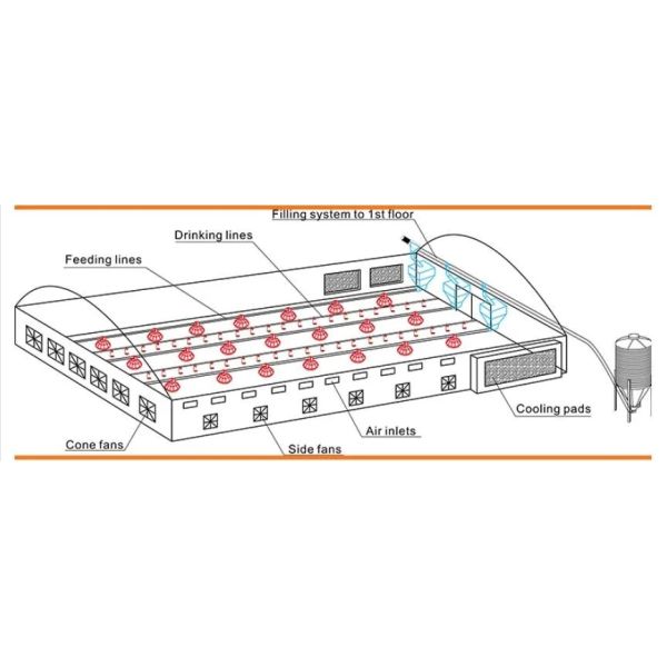 Customizable Modern Smart Automated Control Galvanized Steel Poultry Farm Equipment with Modular Design