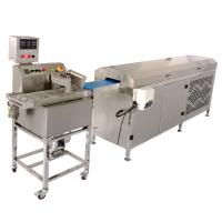 Small Chocolate Enrober Machine for Pet Food Coating