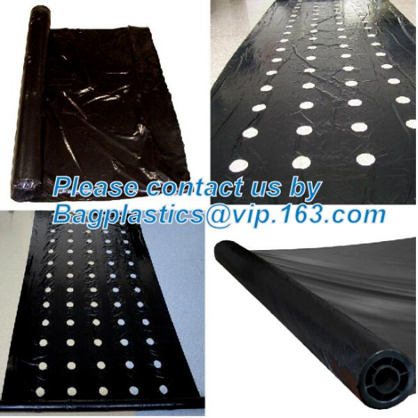 Agricultural Mulching Film Used for Fruit, Flower and Vegetable