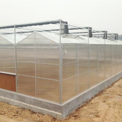 Melhorar a ventilação em estufas agrícolas com sistemas de rack e pinion