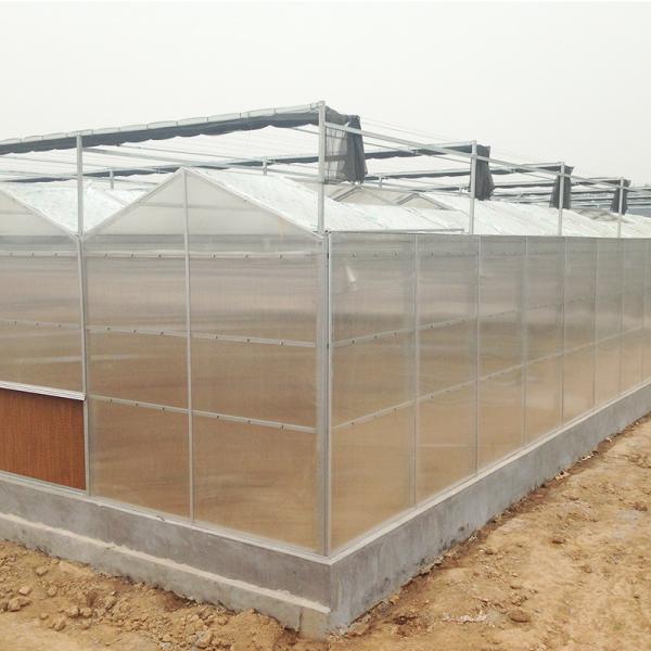 Improve Ventilation in Multi-Span Agricultural Greenhouses with Rack and Pinion System