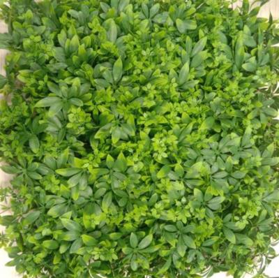 Home Decoration Artificial Wall Grass Create Natural Educational Environment For Kids