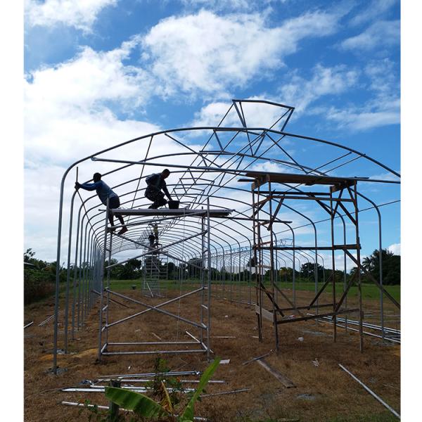 Single Layer Wind Resistant Greenhouse Rain Shelter For Maximum Protection
