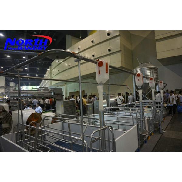 electronic sensor feeder/automatical feeding system/pig feeder