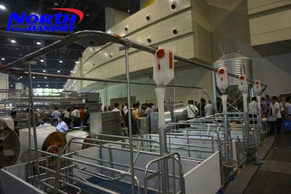 Factory Bottom Price Poultry Feed Silo for Pig with Pig Automatic Feeding system
