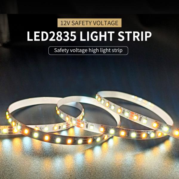 Bathroom Mirror Dual Color Temperature 2835 Light Strip Outdoor Indoor Lighting