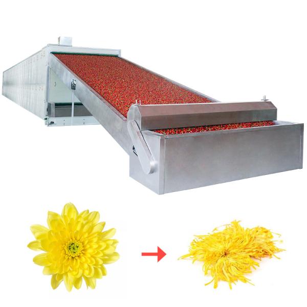 Power Regulation Continuous Belt Dryers Equipment MultiLayer Balanced Operation