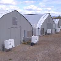 Panne d'électricité automatique de serre chaude de profondeur de tunnel d'envergure simple pour la culture d'usines