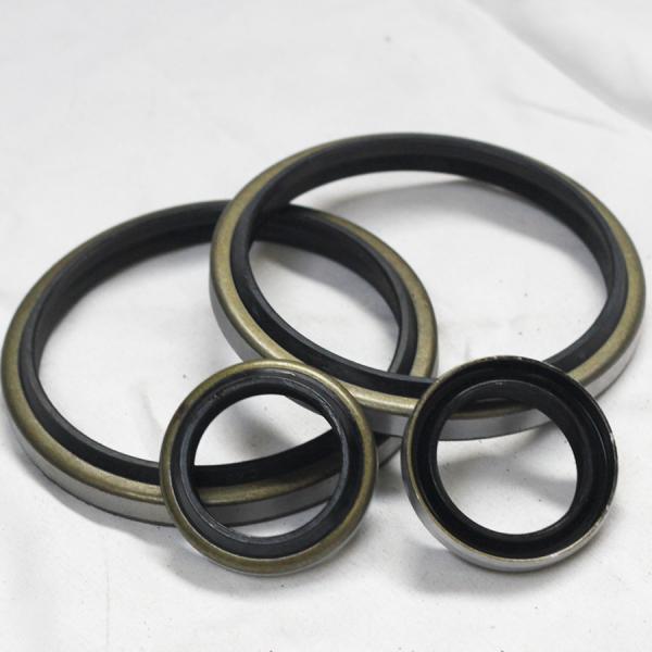 Resistência a altas temperaturas Negro Hidráulico Metal Dkb Selo de óleo em cor preta