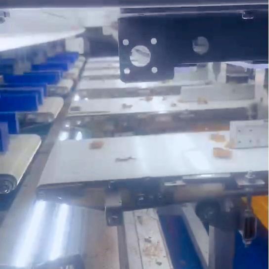 Machine de tri du noyau de noix à plusieurs niveaux intelligente 750 kg / heure en acier inoxydable