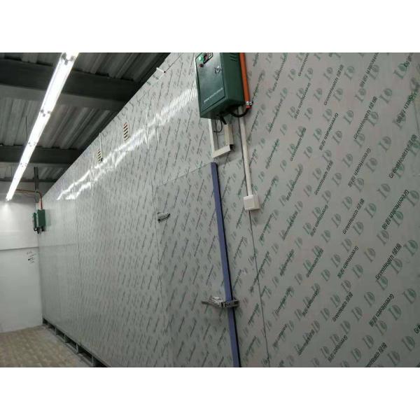 Quick Blast Freezer Cold Storage Room For Seafood Fish Temperature 50 ~+50