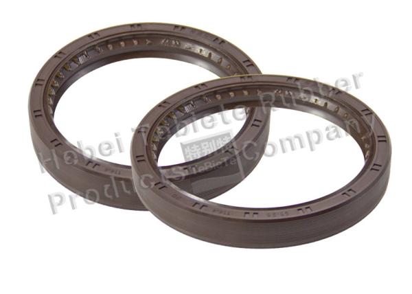  FPM FKM Grease Oil Seal , Heavy Truck Transmission Oil Seal 95*114*20