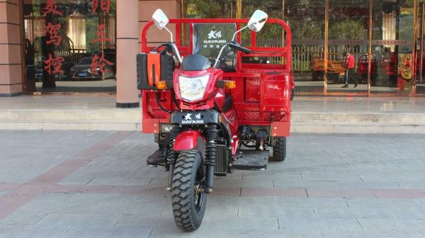 Tuk Tuk Chassis 250cc Zongshen Engine Hot Gasoline Cargo Tricycle for 5.0 Inch 70 Km/h