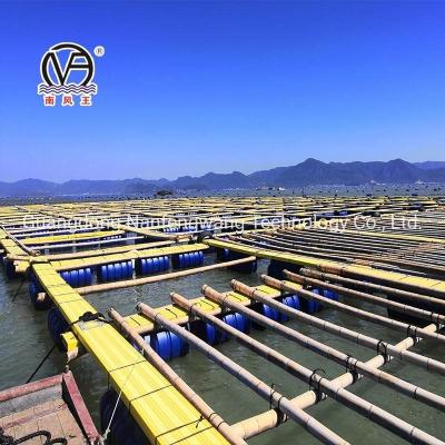 10m 60m Diámetro cuadrado HDPE Plástico Modular Pontoon Cage Culture para la acuicultura