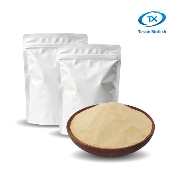 Deactivated Nutrition Yeast Protein Powder Ingredient For Food Processing