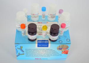 Accurate Veterinary Residue Test Kit Lincomycin ELISA Test Kit Certificate