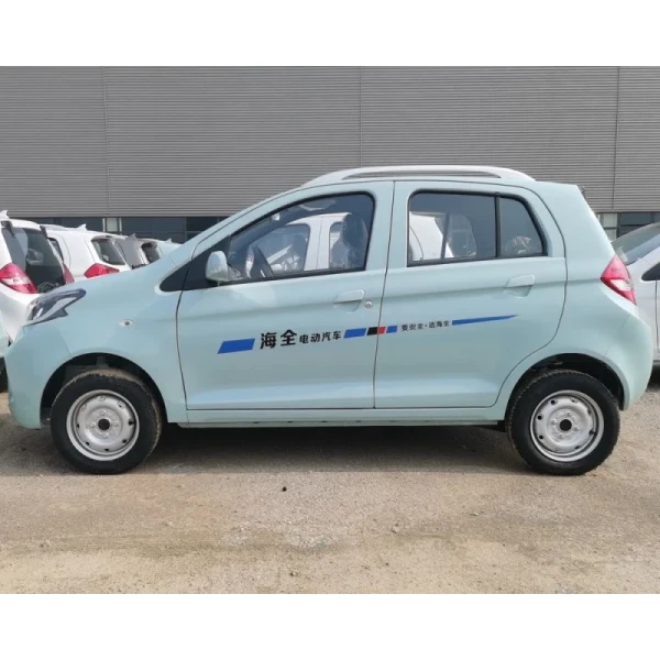 Raysince hot sales model new energy electric car 5 door 4 Seat electric saloon cars from china
