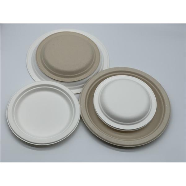 Food Grade Biodegradable Sugarcane Bagasse Plates Round Eco-friendly Food Container