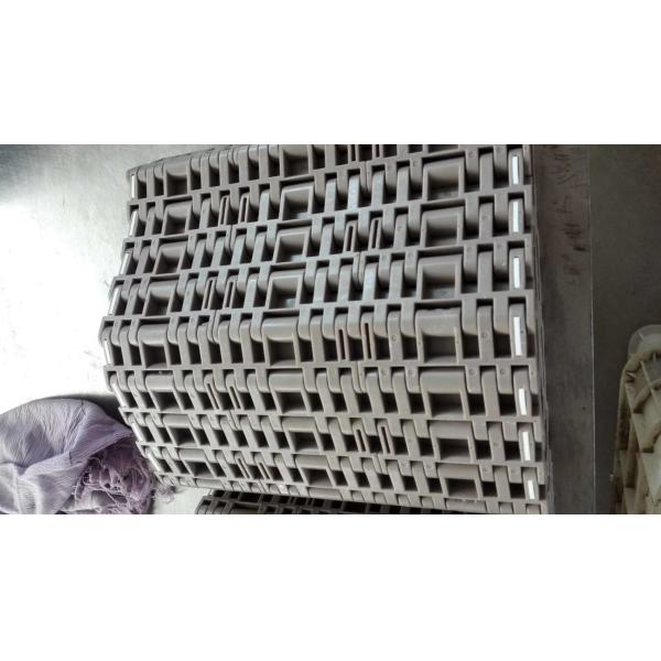 Fabricante profissional Cintura transportadora de plástico modular de segurança para a indústria de processamento de vulcanização de pneus