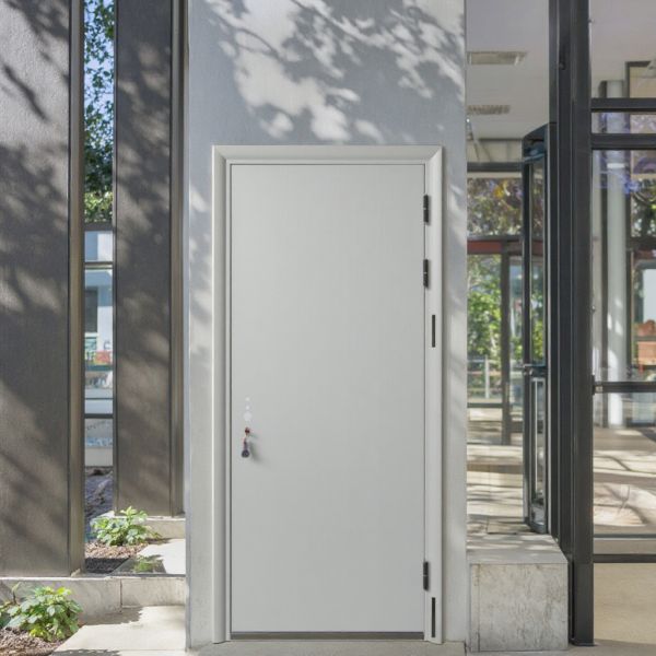 teel Security Door with Invisible Hinge  Simple Modern Design  Residential Exterior