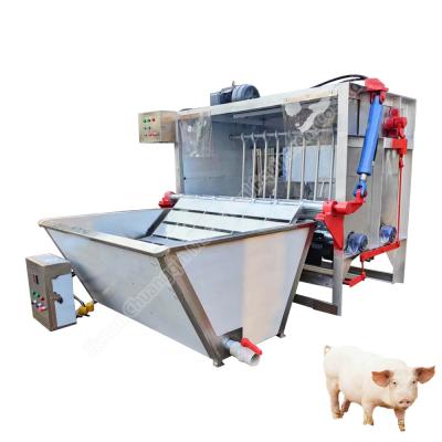 Dépilateur de porc Dépilateur de porc Pluquing Machine Machine de dégraissage de la peau de porc Machine de tuerie de porc