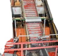 suco de /Orange do suco de Juice Filling Production Line For maçã do fruto 4000-6000bph/pasta de tomate