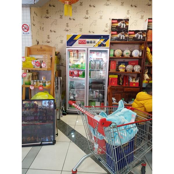 220V/110V Double Glass Door Display Freezer Beverage Commercial Showcase Refrigerator