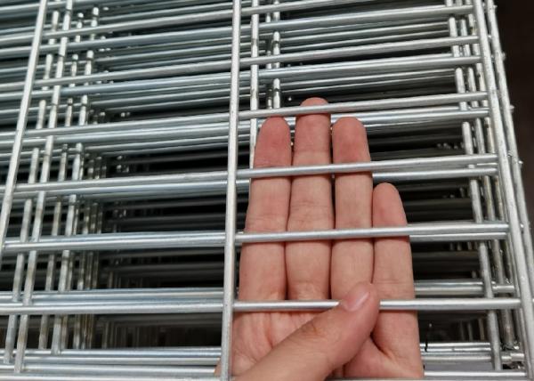 Galvanized Welded Wire Mesh Panels for Fencing SS304 1x2m
