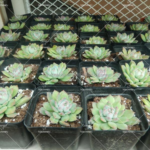 Поставка 6500KG гидравлическая кокопиевая блочная прессовая упаковочная машина для блока растительных волокон