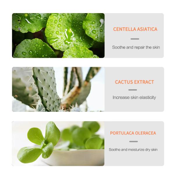 Tinta ácida salicílica de hidratación 100ML para el ODM aceitoso del OEM de la piel del acné