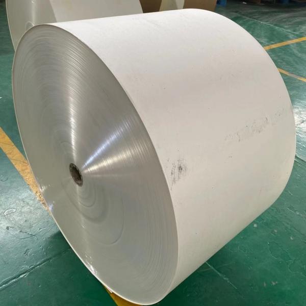 a placa do marfim de 250gsm 300gsm forra o papel da brancura FBB de 89%