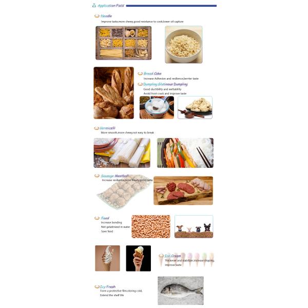 100% Safety Super Absorbenter Sodium Polyacrylate Powder Super Absorbent Polymer For Agriculture