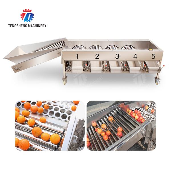 Fruit Orange Vegetable Saiko persimmon lemon tangerine passion fruit avocado cherry Mango pear mangosteen kiwi fruit processing production Inspecting Grading sorting machine