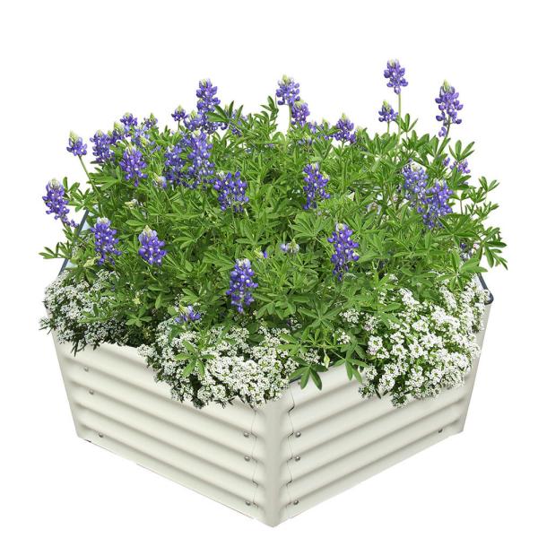 Easy Assemble Galvanised Metal Raised Beds Herb 3.9x3.4x1.4 Ft