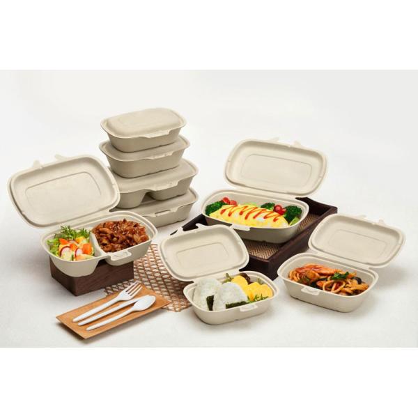 Fully Auto Bagasse Fiber Takeaway Food Tray Making Machine With 6 Axis Robot