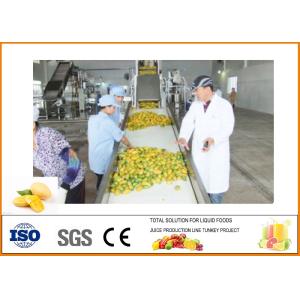 Mango Processing Line
