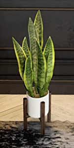Faux Plant Artificial Plant Split-Leaf Philodendron, Monstera Deliciosa, Fake Indoor Plant, Excellent Gift