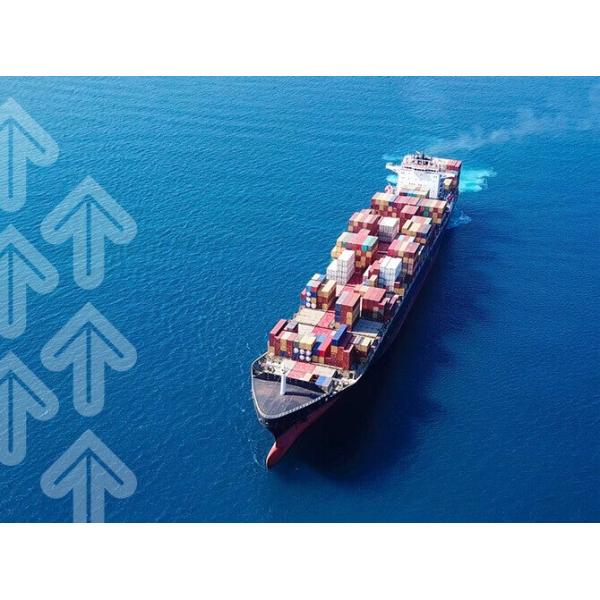 Brand Goods POS Machine International Freight DDP From China to Dubai By Sea Freight FCL LCL