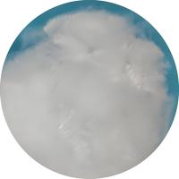 12D fibre acrylique brute blanche avec résistance à la teigne
