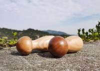 Adjustable Ceramic Core Salt & Pepper Grinder Mushroom Shape Wood Jar