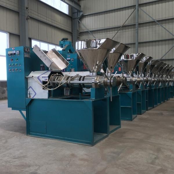 Groundnut Mustard Oil Press Machine for Cold Pressing Pure and Natural Essential Oils