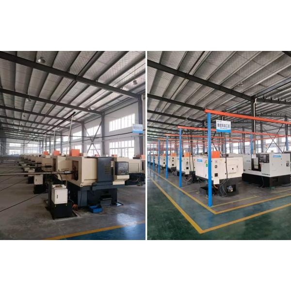 Auto Parts Fuel Injection Pump Repair Kit 800640 Common Rail