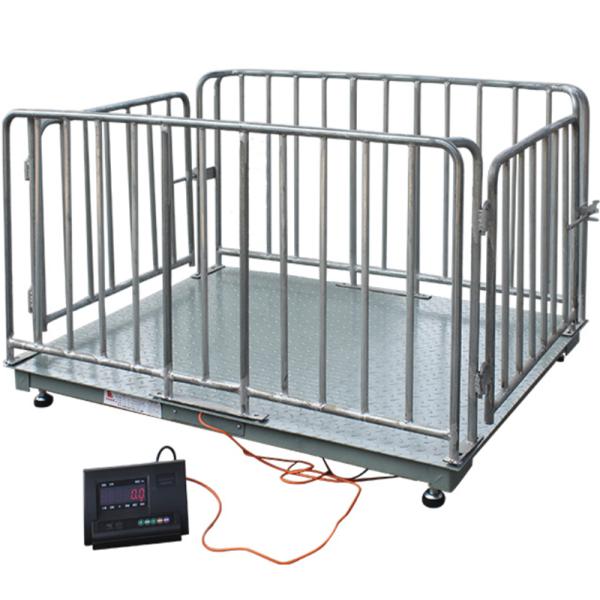 Weight Function Pig Cattle and Sheep Weighing Electronic Scale 1-3T Capacity for Accurate Farm Weighing