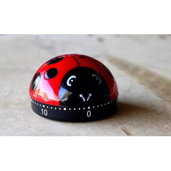 Seven Color Plastic 60 Minute Ladybug Kitchen Timer Fashion Shape Cute