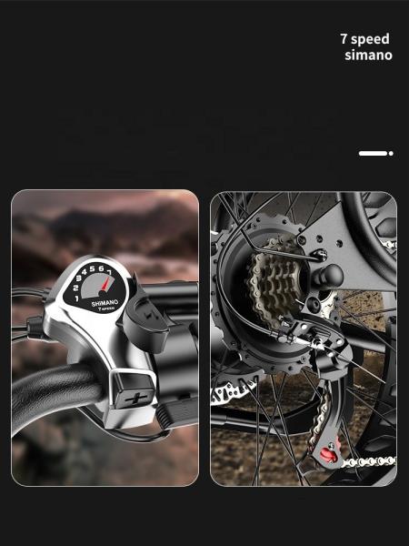 Max Speed 30-50Km/h Disc Brake Electric Fat Tire Bike 48V 400W Motor Ebike