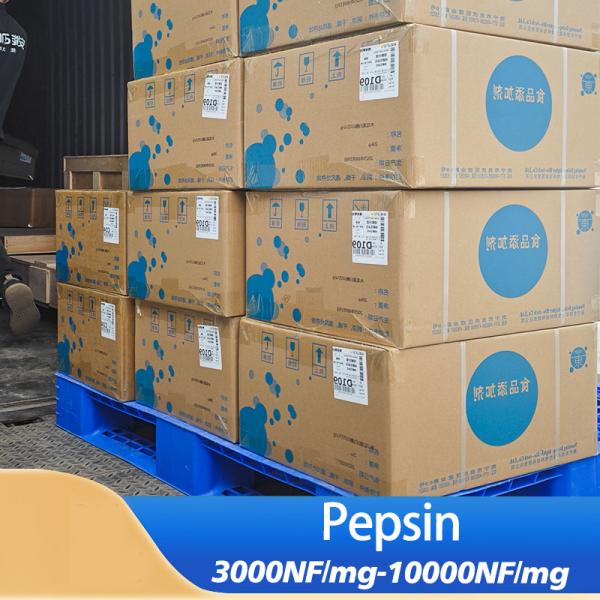 Poudre de pepsine purifiée jaune clair soluble dans l'eau 3000NF/Mg-10000NF/Mg