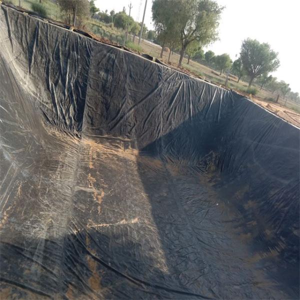 0.75mm 1mm HDPE Geomembrane for Dam Liner Plastic Fish Shrimp Pond Liner Width 1m-10m