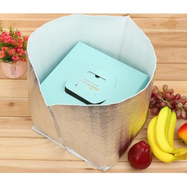 фольга изоляции Recyclable еды хлопка жемчуга 22*12*24cm отражательная